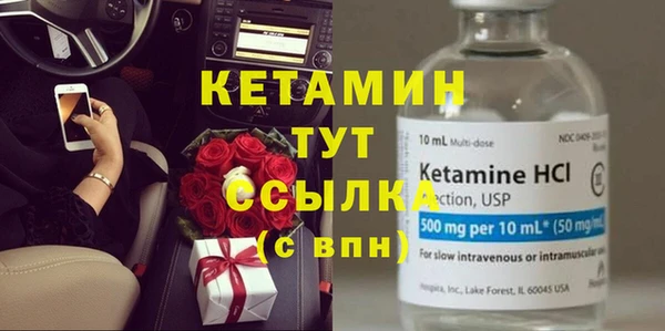 прущие грибы Новодвинск