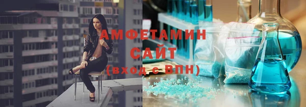 индика Новокубанск