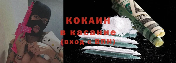 прущие грибы Новодвинск