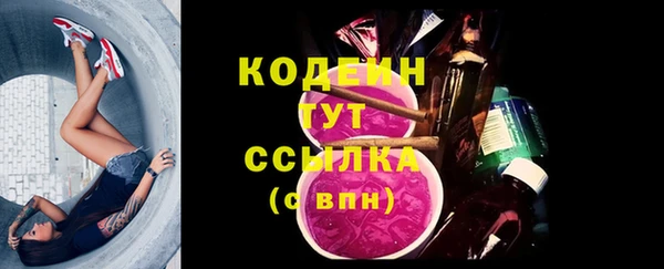 прущие грибы Новодвинск