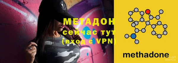 прущие грибы Новодвинск