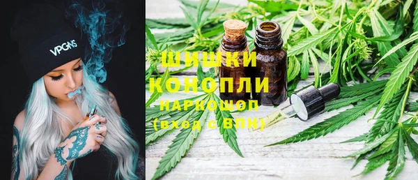 прущие грибы Новодвинск