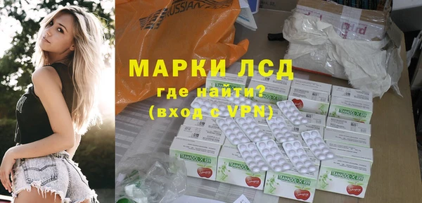 индика Новокубанск
