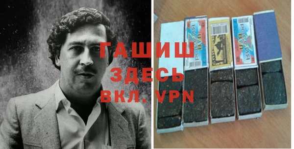 прущие грибы Новодвинск