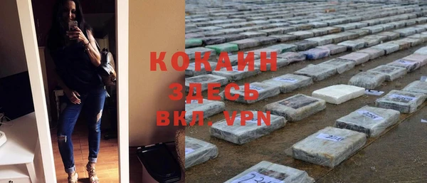 прущие грибы Новодвинск