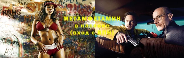 прущие грибы Новодвинск