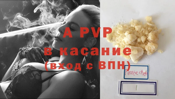 стаф Нефтегорск